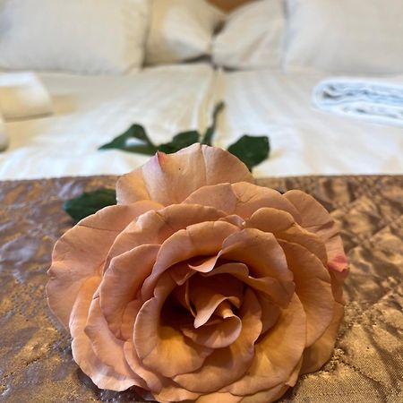 Hotel Rose City Budapest Ngoại thất bức ảnh